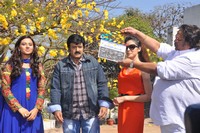 Balakrishna New Movie Launch